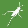새로운 Grasshopper 플러그인 컴포넌트